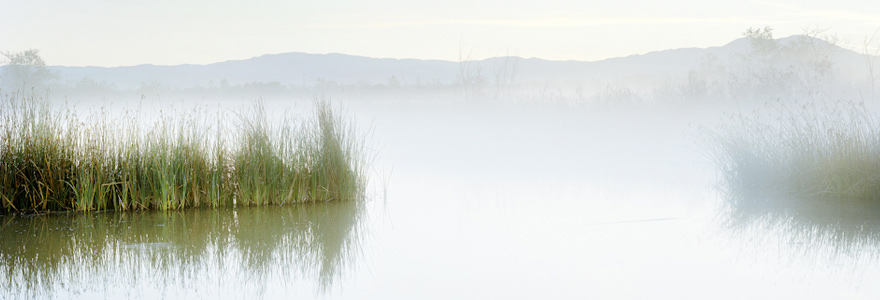 san_joaquin_marsh